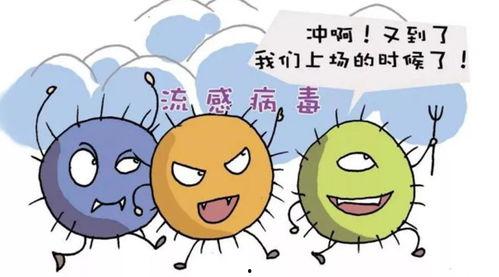 流感视频在线观看,在线观看流感科普视频，掌握防护知识  第3张